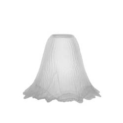 Clear glass matte lampshade...