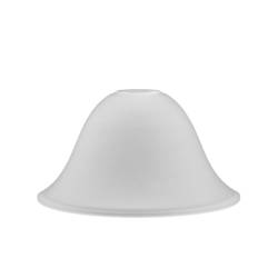 Clear glass matte lampshade...