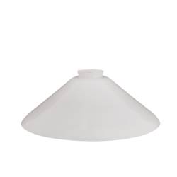 Klosz 5558 w różnych...