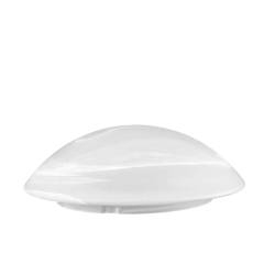 Clear glass matte lampshade...